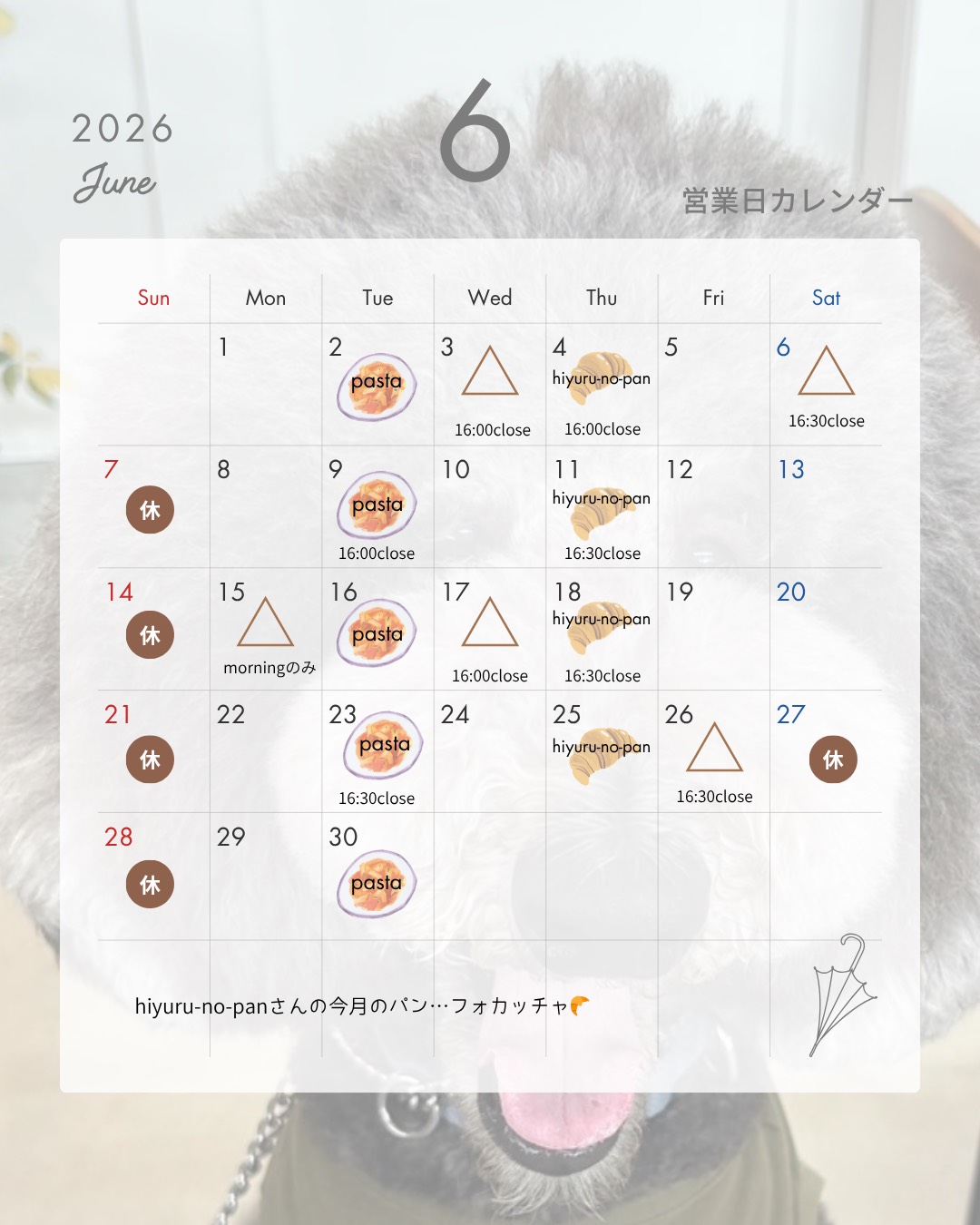 [公式]りんごの樹cafe comodo(コモド) | 安城市のペットと過ごすカフェ（安城・碧南・刈谷・高浜・西尾）
