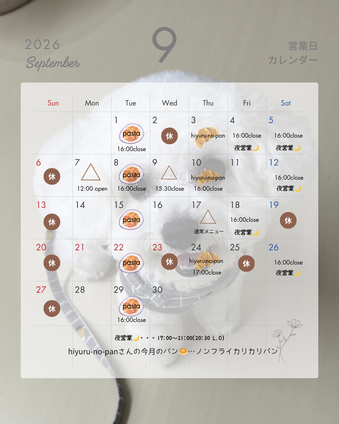 [公式]りんごの樹cafe comodo(コモド) | 安城市のペットと過ごすカフェ（安城・碧南・刈谷・高浜・西尾）